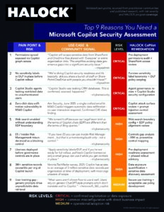 Why CoPilot Risk Assessment HALOCK Brochure Image
